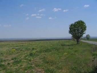 Agricultural land for sale Burgas